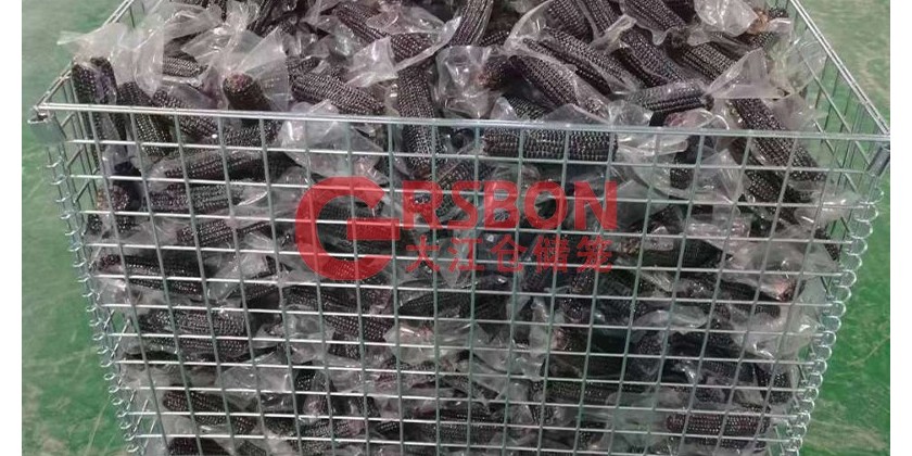 儲存玉米棒子倉儲籠：大江倉儲籠與遼寧某農(nóng)業(yè)公司的合作案例