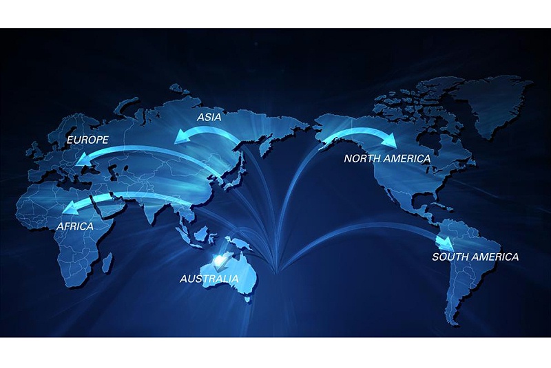 倉儲籠出口分布圖