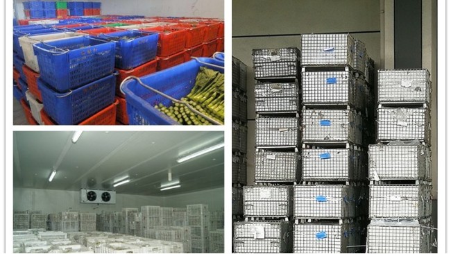 倉儲籠農(nóng)產(chǎn)品應(yīng)用